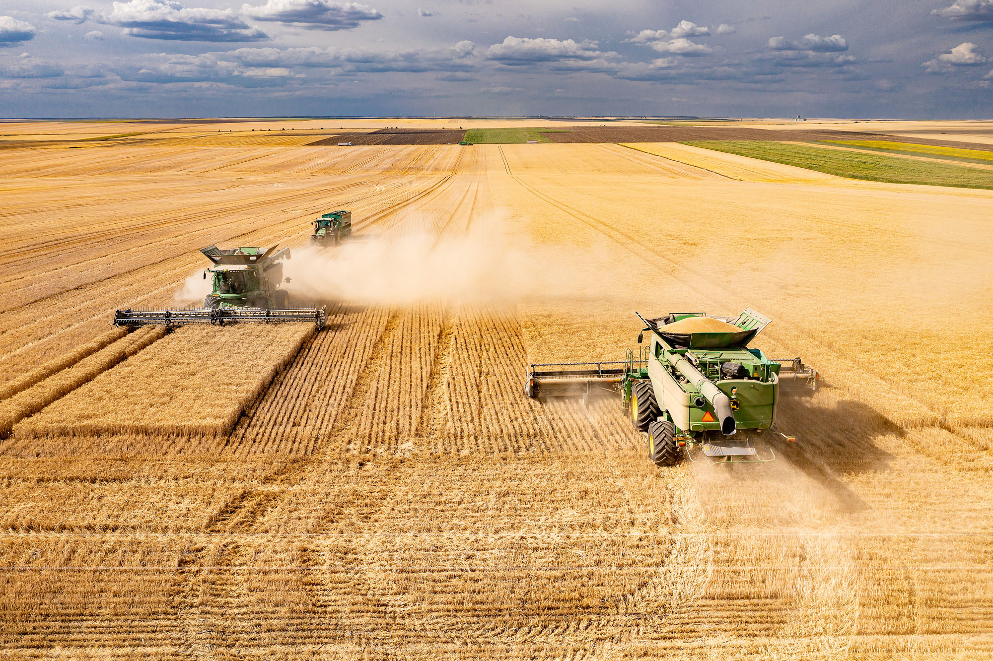 Fotografii agricultura si domeniul agricol